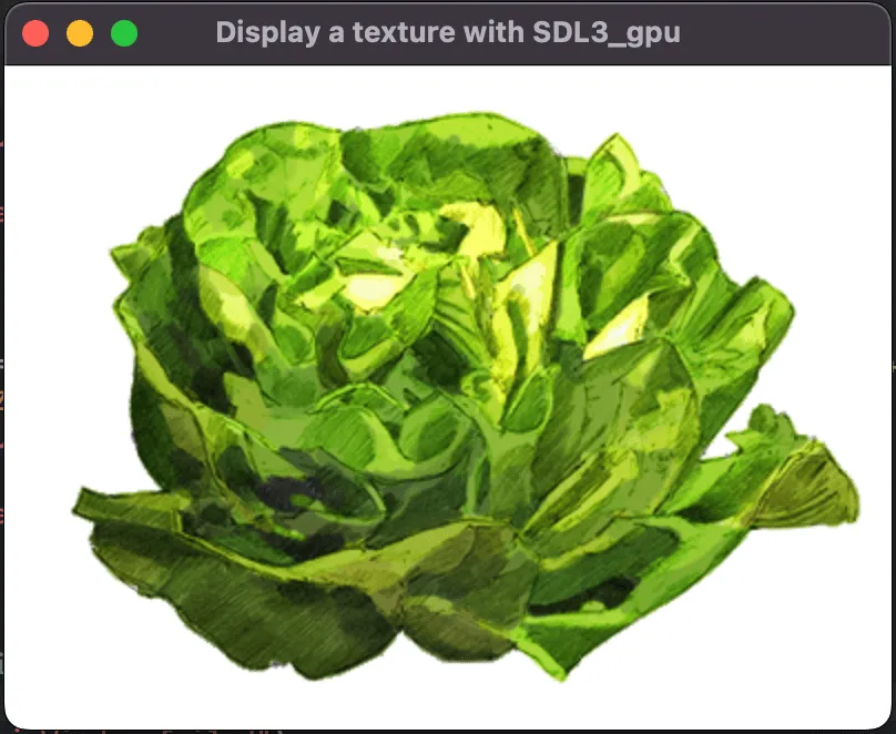 Display a texture with SDL3_gpu