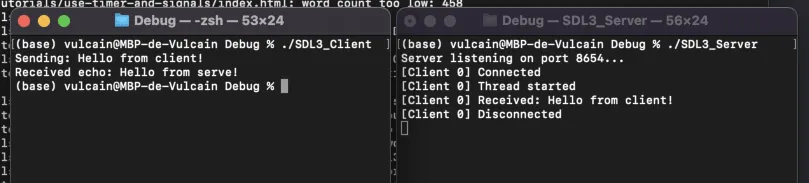 TCP Client-Server Application with SDL3_net